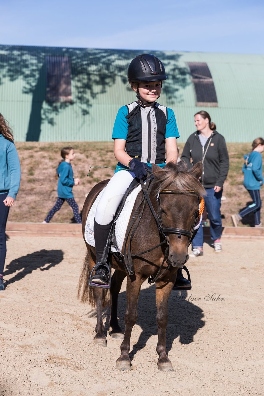 Bild 19 - Pony Akademie Turnier